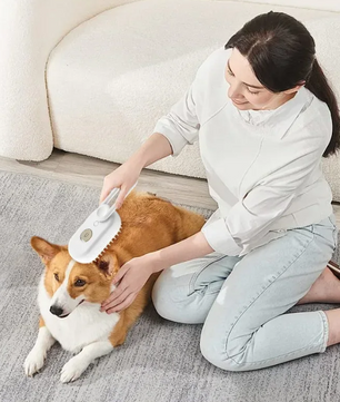 3-in-1 Stoomborstel voor Huisdieren – Verzorging, Ontwarring & Massage