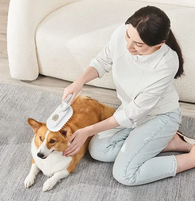 3-in-1 Stoomborstel voor Huisdieren – Verzorging, Ontwarring & Massage