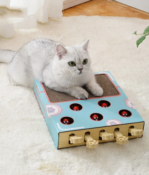 3-in-1 Interactief Katten Speelgoed – Krabkussen, Whack-a-Mole & Rustplek