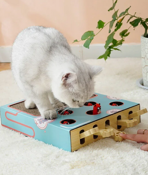 3-in-1 Interactief Katten Speelgoed – Krabkussen, Whack-a-Mole & Rustplek