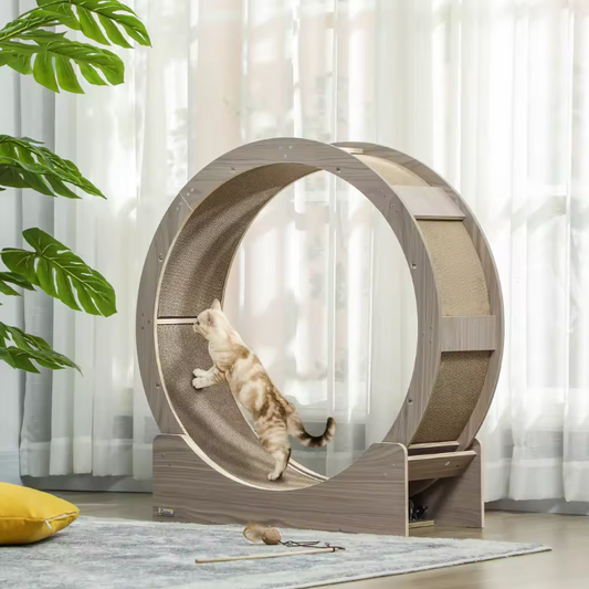 Katten Loopwiel met Krabplank – 91 cm Trainingswiel met Rem & Krabmat