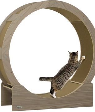 Katten Loopwiel met Krabplank – 91 cm Trainingswiel met Rem & Krabmat
