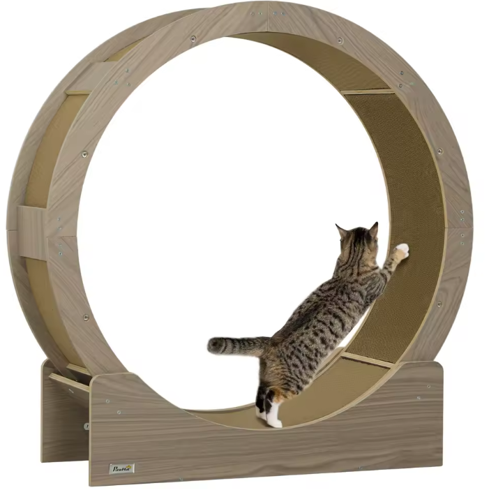 Katten Loopwiel met Krabplank – 91 cm Trainingswiel met Rem & Krabmat