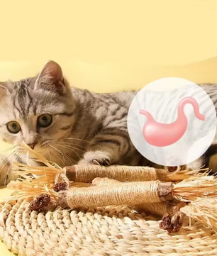 Set van 1/2/5/10 Stuks Katten Speelgoed – Natuurlijke Matatabi Kauwstokken voor Gezonde Tanden