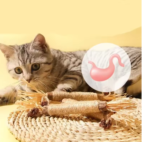 Set van 1/2/5/10 Stuks Katten Speelgoed – Natuurlijke Matatabi Kauwstokken voor Gezonde Tanden