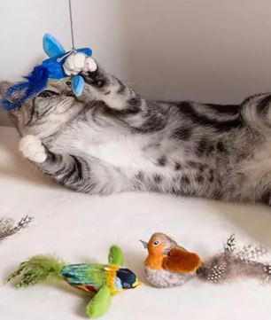 Interactief Katten Speelgoed – Realistische Vogel met Geluid & Kattenkruid