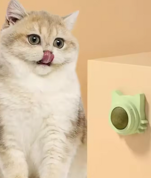 Kattenkruid Likbal – Interactief Kauwspeelgoed voor Katten, Mondverzorging & Speelplezier