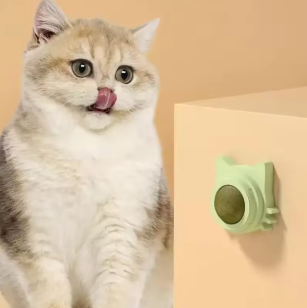 Kattenkruid Likbal – Interactief Kauwspeelgoed voor Katten, Mondverzorging & Speelplezier