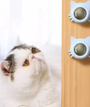 Kattenkruid Likbal – Interactief Kauwspeelgoed voor Katten, Mondverzorging & Speelplezier