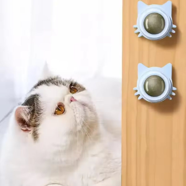 Kattenkruid Likbal – Interactief Kauwspeelgoed voor Katten, Mondverzorging & Speelplezier