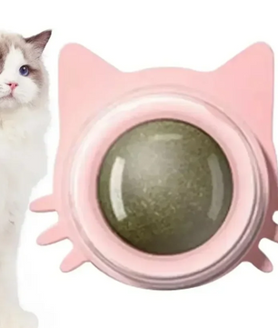 Kattenkruid Likbal – Interactief Kauwspeelgoed voor Katten, Mondverzorging & Speelplezier