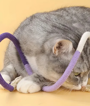 Katoenen Kattenkauwspeeltje – Interactief Touwspeelgoed met Kattenkruid, Tandverzorgend & Duurzaam
