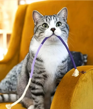 Katoenen Kattenkauwspeeltje – Interactief Touwspeelgoed met Kattenkruid, Tandverzorgend & Duurzaam