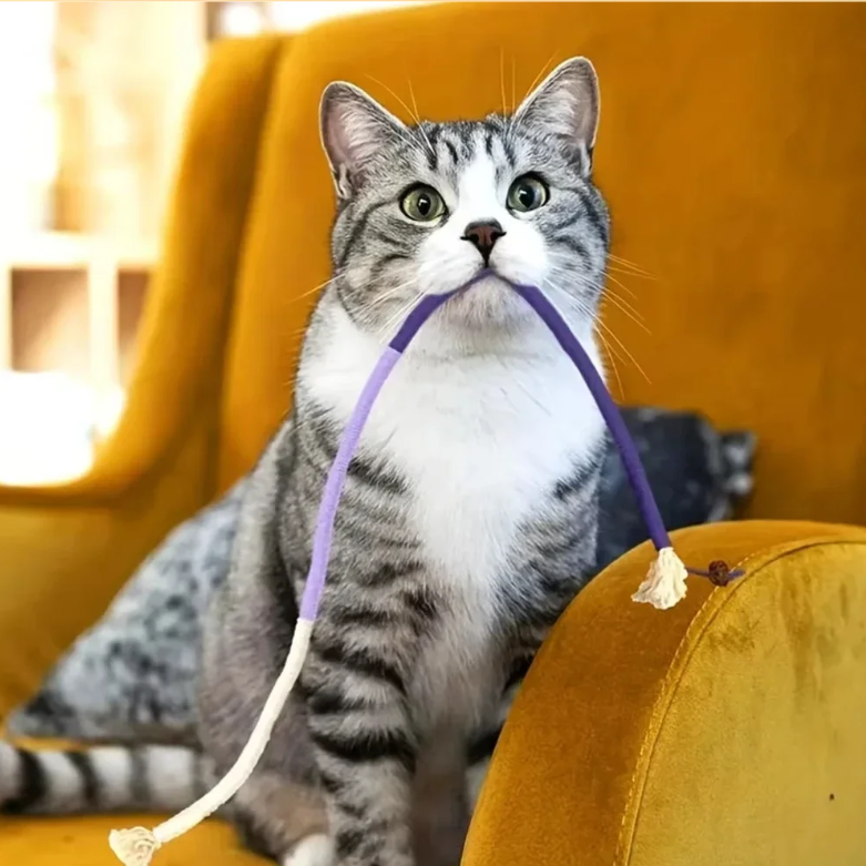 Katoenen Kattenkauwspeeltje – Interactief Touwspeelgoed met Kattenkruid, Tandverzorgend & Duurzaam