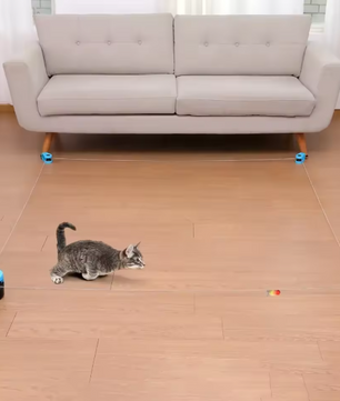 Interactief Kattenspeelgoed – Elektrische Looptrainer met Verstelbare Snelheid & Muisgeluid