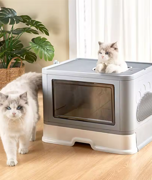 Opvouwbare Kattenbak met Dubbele Ingang – Inclusief Schep & Massagefunctie, Geschikt tot 10 kg