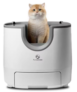 Zelfreinigende Kattenbak – Open Ontwerp met Veiligheidssensoren & Extra Grote Capaciteit