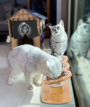 Kantelbare Kattenvoerbak met 3 Roestvrijstalen Kommen – Verhoogd & Houten Standaard