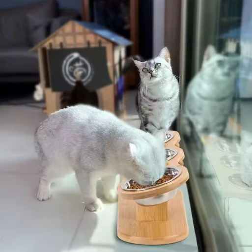 Kantelbare Kattenvoerbak met 3 Roestvrijstalen Kommen – Verhoogd & Houten Standaard
