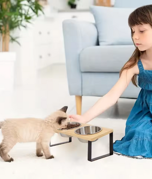Verhoogde Kattenvoerbak met 2 Roestvrijstalen Kommen – 15° Kantelbaar & Houten Standaard