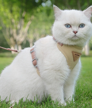 Ademend Honden- en Kattenharnas met Riem – Nylon Mesh & Suède, Verstelbaar en Comfortabel