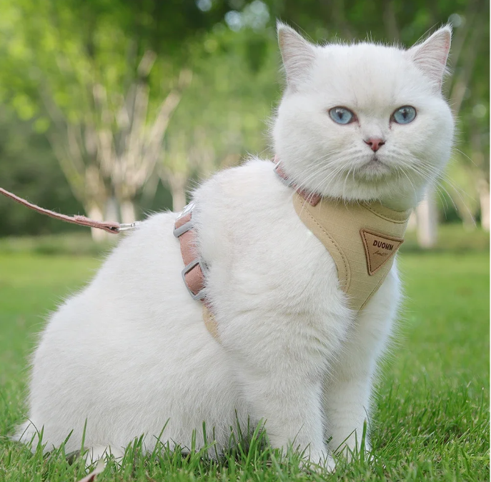Ademend Honden- en Kattenharnas met Riem – Nylon Mesh & Suède, Verstelbaar en Comfortabel