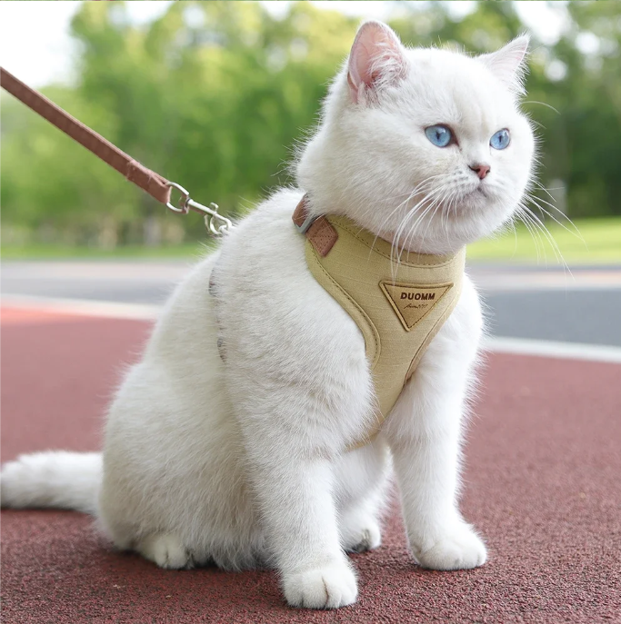 Ademend Honden- en Kattenharnas met Riem – Nylon Mesh & Suède, Verstelbaar en Comfortabel
