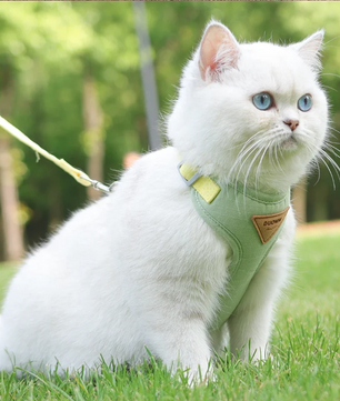 Ademend Honden- en Kattenharnas met Riem – Nylon Mesh & Suède, Verstelbaar en Comfortabel