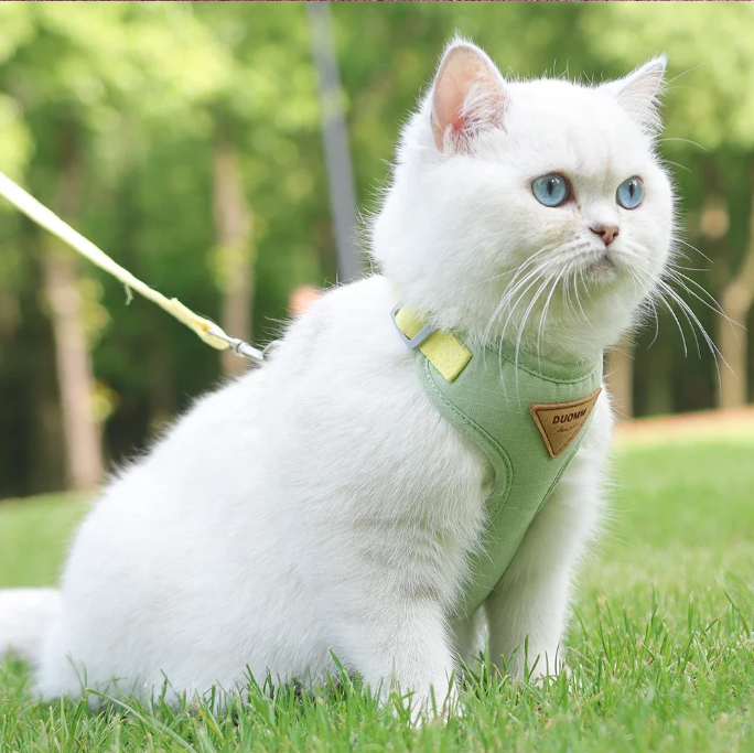 Ademend Honden- en Kattenharnas met Riem – Nylon Mesh & Suède, Verstelbaar en Comfortabel