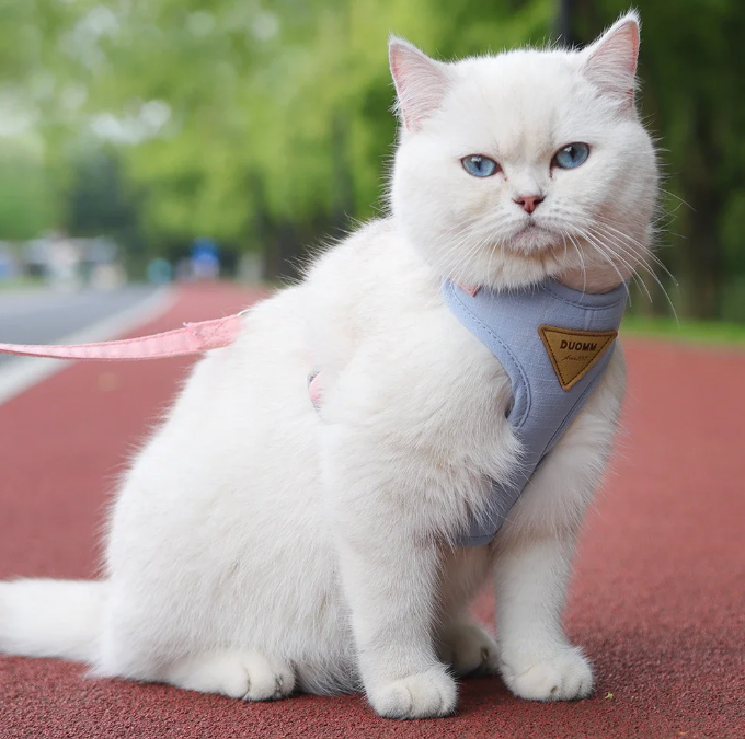 Ademend Honden- en Kattenharnas met Riem – Nylon Mesh & Suède, Verstelbaar en Comfortabel