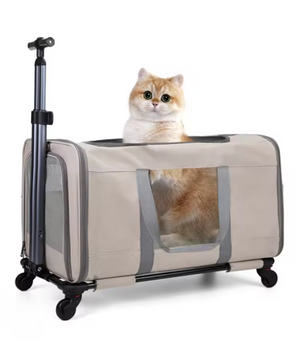 Kattenwagen met Wielen – Grote Transporttas voor 2 Katten met Veiligheidsgordel