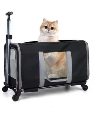 Kattenwagen met Wielen – Grote Transporttas voor 2 Katten met Veiligheidsgordel