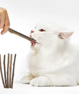 Silvervine Kauwsticks voor Katten – Natuurlijk Tandenreinigend Speelgoed, 20 Stuks