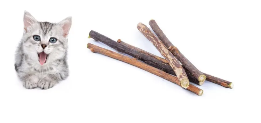Silvervine Kauwsticks voor Katten – Natuurlijk Tandenreinigend Speelgoed, 20 Stuks