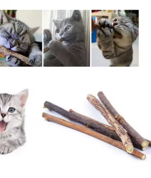 Silvervine Kauwsticks voor Katten – Natuurlijk Tandenreinigend Speelgoed, 20 Stuks