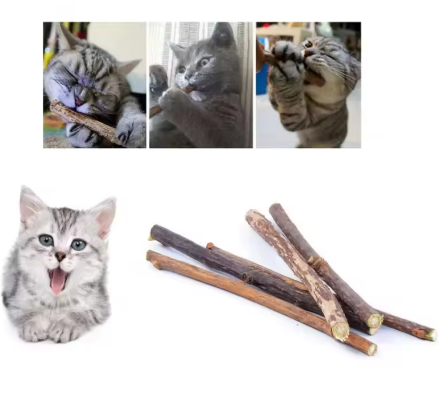Silvervine Kauwsticks voor Katten – Natuurlijk Tandenreinigend Speelgoed, 20 Stuks