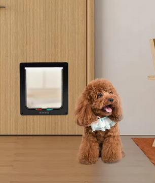 Kattendeur voor Binnen en Buiten – Vrije Toegang voor Katten en Kleine Honden, ABS Kunststof