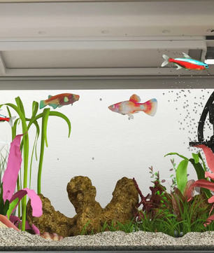 Aquarium 17L met LED & Filtersysteem – Compact Tropisch Aquarium met Waterpomp