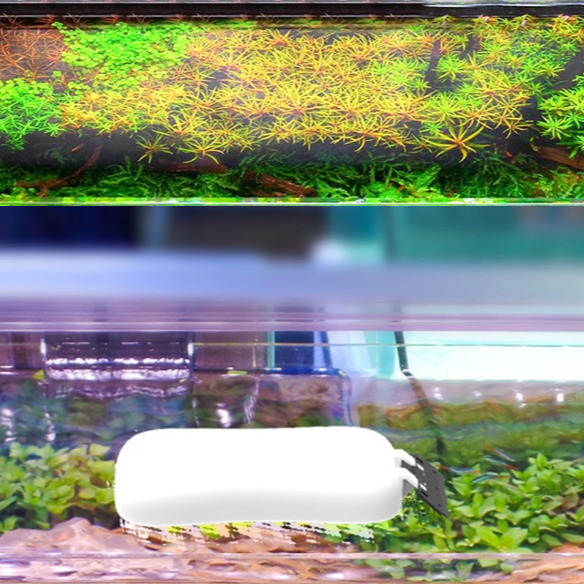 Magnetische Aquarium Glasreiniger – Algen Schraper & Drijvende Schoonmaakborstel