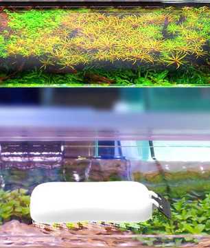 Magnetische Aquarium Glasreiniger – Algen Schraper & Drijvende Borstel