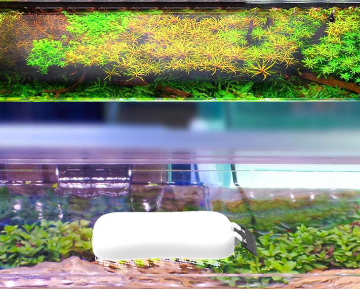 Magnetische Aquarium Glasreiniger – Algen Schraper & Drijvende Borstel