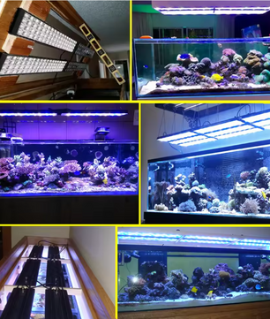 WiFi Aquarium LED Lamp – Volledig Spectrum Rif- & Koraalverlichting