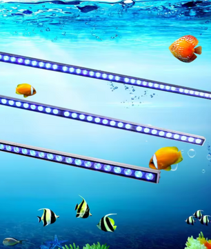 LED Aquarium Lichtbalk – Waterdichte Blauwe Rif- & Plantverlichting