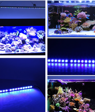 LED Aquarium Lichtbalk – Waterdichte Blauwe Rif- & Plantverlichting