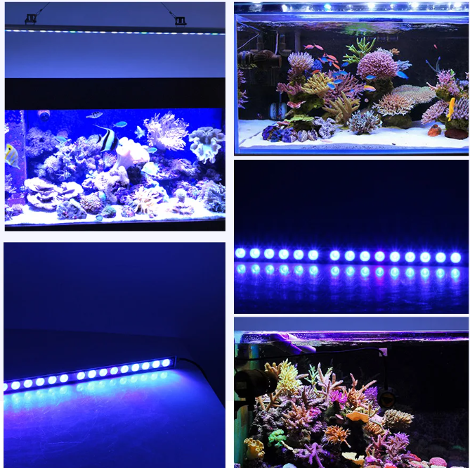 LED Aquarium Lichtbalk – Waterdichte Blauwe Rif- & Plantverlichting