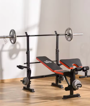 Verstelbare Halterbank – Fitnessbank met Rugleuning & Barsteun, Inclusief Beenkrul