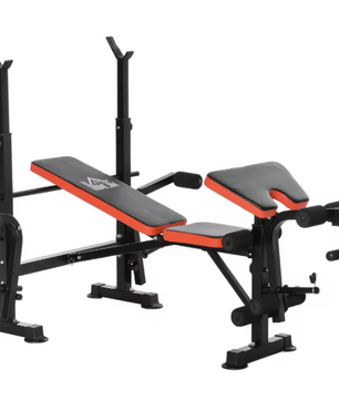 Verstelbare Halterbank – Fitnessbank met Rugleuning & Barsteun, Inclusief Beenkrul