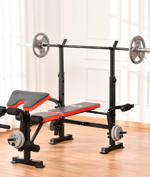 Verstelbare Halterbank – Fitnessbank met Rugleuning & Barsteun, Inclusief Beenkrul