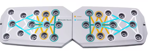 Opvouwbare Push-Up Boardset – Multifunctioneel Fitnesssysteem voor Borst, Rug, Armen & Core
