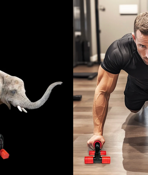 Push-Up Standaards – Antislip Handgrepen & Stevige Workout Bars voor Krachttraining